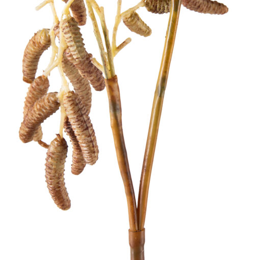 Birch Berry In Short Stem - Image 3