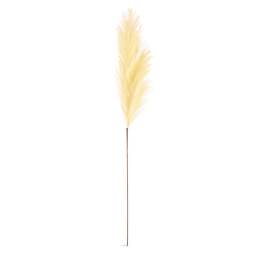 Single Pampas Reed (H110cm) - Image 4