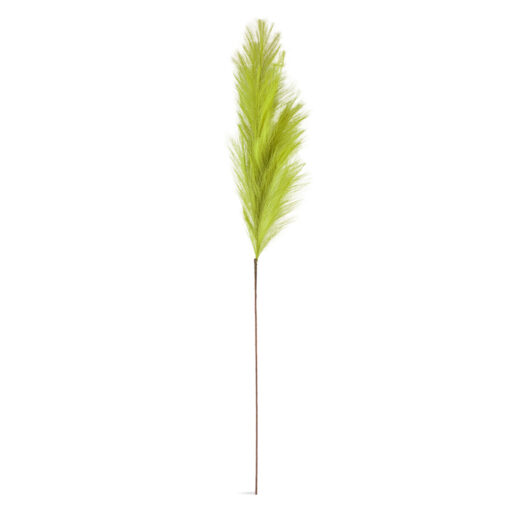 Single Pampas Reed (H110cm)