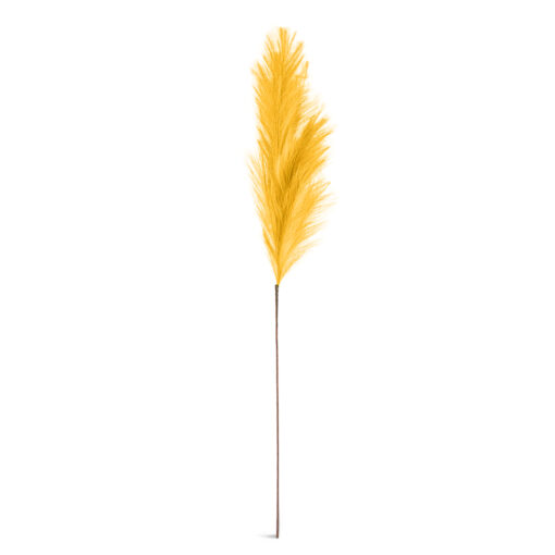Single Pampas Reed (H110cm) - Image 7