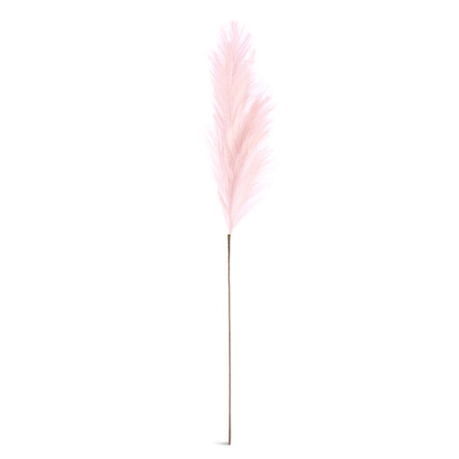 Single Pampas Reed (H110cm) - Image 8