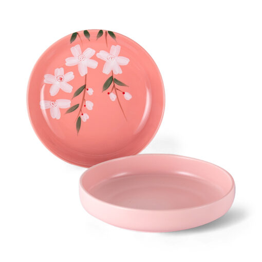 2 Pcs Bone China Dinner Plate Set