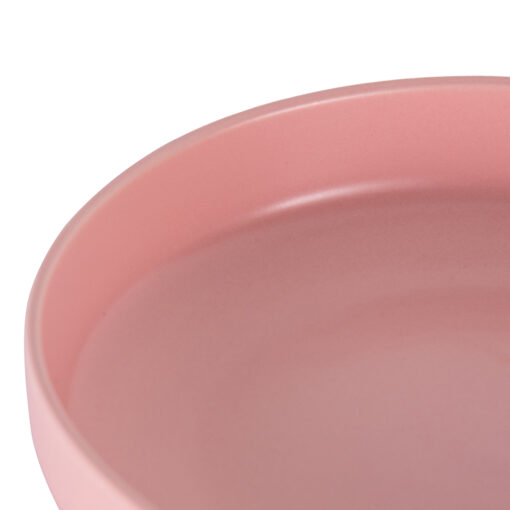 2 Pcs Bone China Dinner Plate Set - Image 6