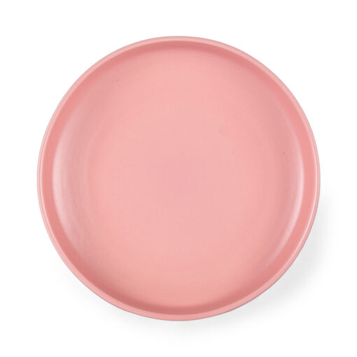 2 Pcs Bone China Dinner Plate Set - Image 3