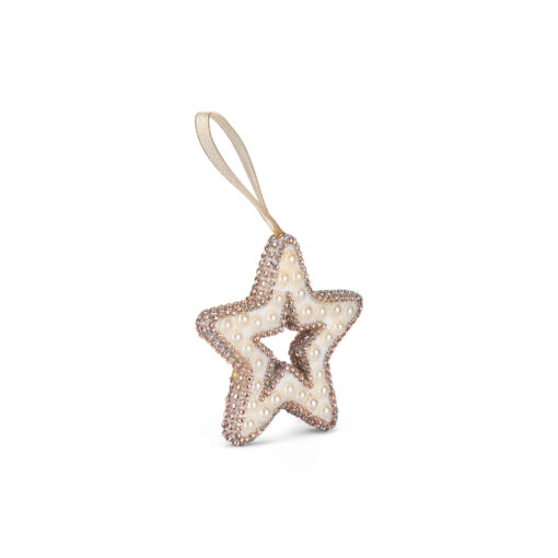 Hanging Star Christmas Ornament (H14cm)