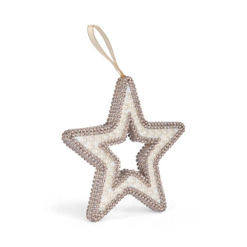 Hanging Star Christmas Ornament (H21cm)