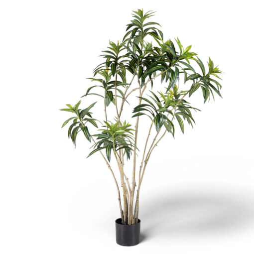 Potted Lily Bamboo Tree (H140cm)