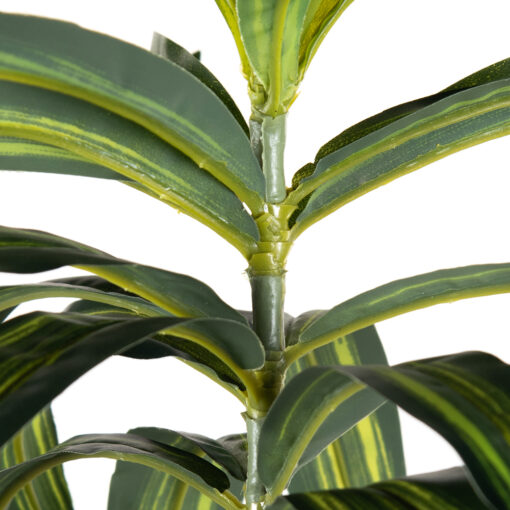 Potted Lily Bamboo Tree (H180cm) - Image 3