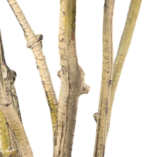 Potted Lily Bamboo Tree (H180cm) - Image 4
