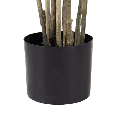 Potted Lily Bamboo Tree (H180cm) - Image 6