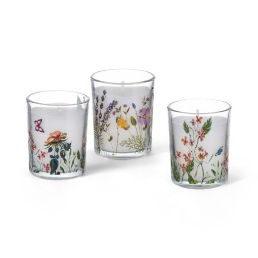 Set of 3 Scented Candle in Glass (50g)