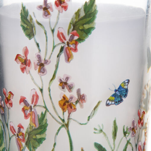Set of 3 Scented Candle in Glass (50g) - Image 3