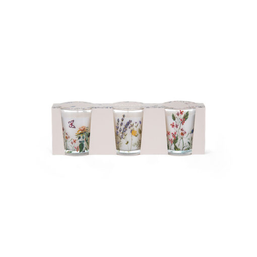 Set of 3 Scented Candle in Glass (50g) - Image 9