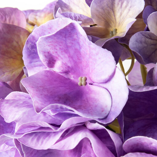 Single Hydrangea Spray (H65cm) - Image 2