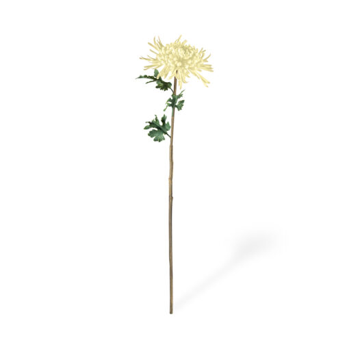 Single Chrysanthemum (H78cm)