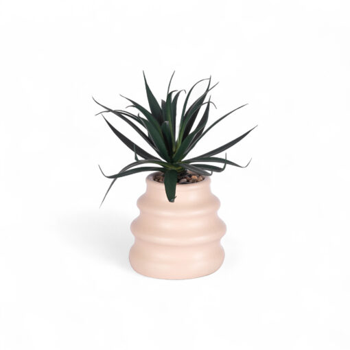 Potted Plant (H20cm)