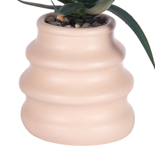 Potted Plant (H20cm) - Image 3