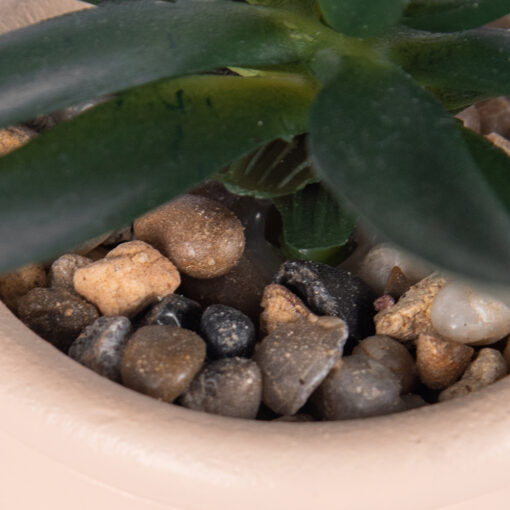 Potted Plant (H20cm) - Image 4