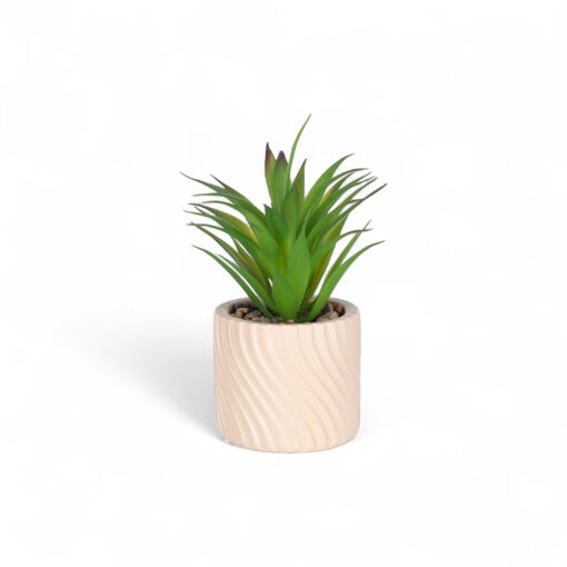 Potted Plant (H17cm)