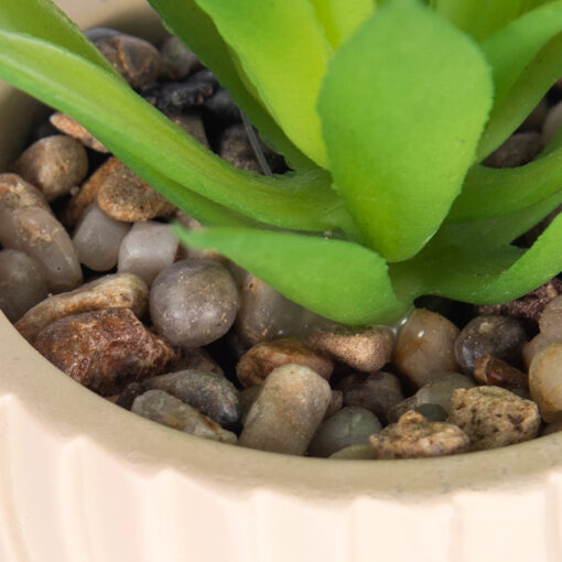 Potted Plant (H17cm) - Image 4