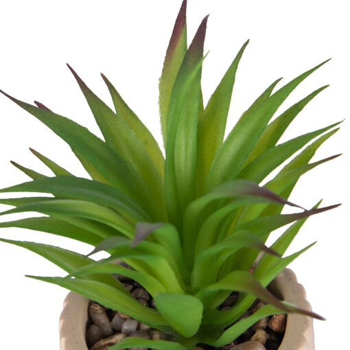 Potted Plant (H17cm) - Image 2