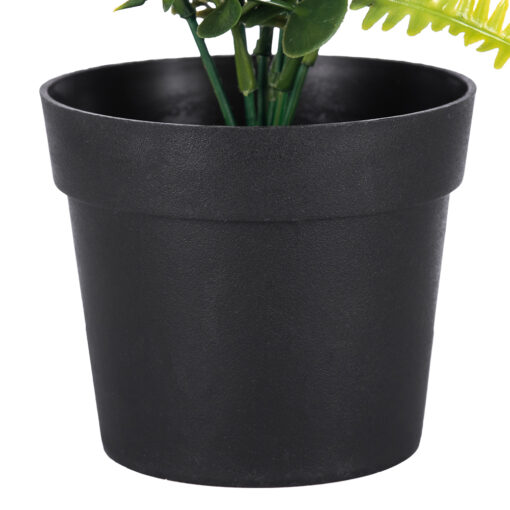 Pyrostegia Venusta Potted Plant (H25cm) - Image 6