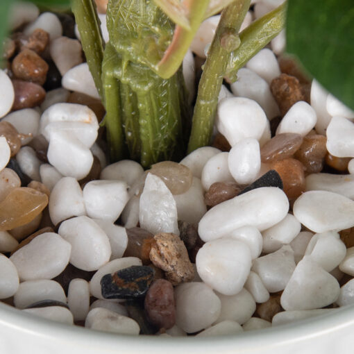 Potted Dahlia (H38cm) - Image 6