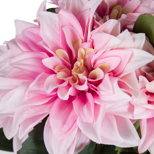 Potted Dahlia (H38cm) - Image 2