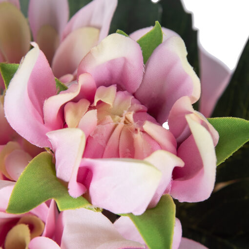 Potted Dahlia (H38cm) - Image 3