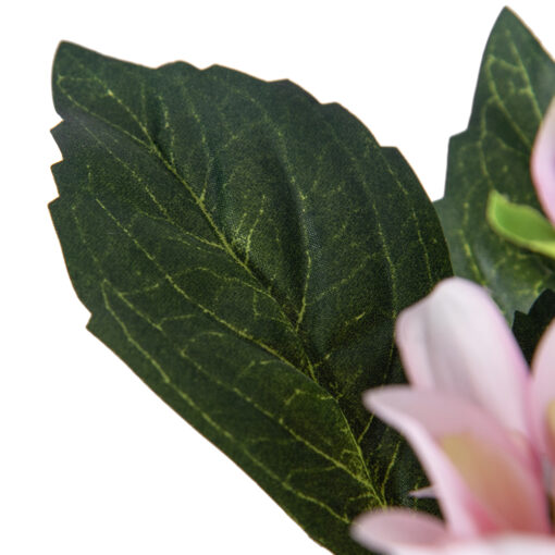 Potted Dahlia (H38cm) - Image 4