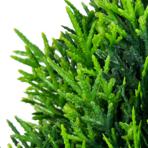 Potted Topiary (H32cm) - Image 2