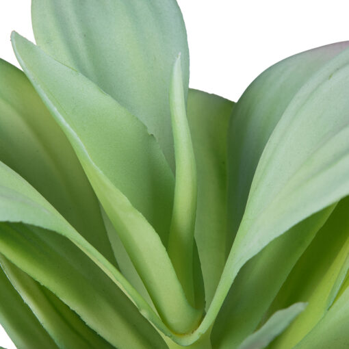Succulent Plant (H25cm) - Image 4