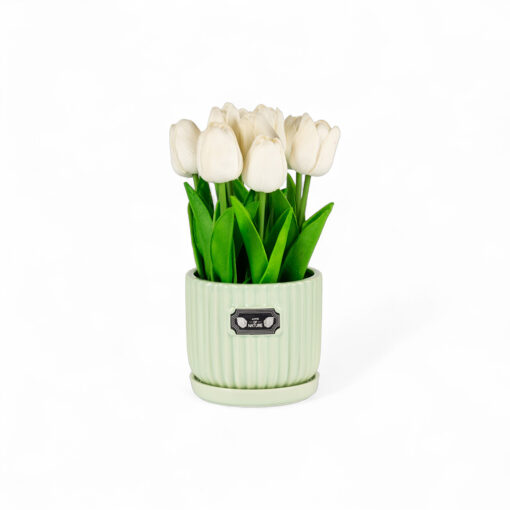 Potted Tulip (H24cm)