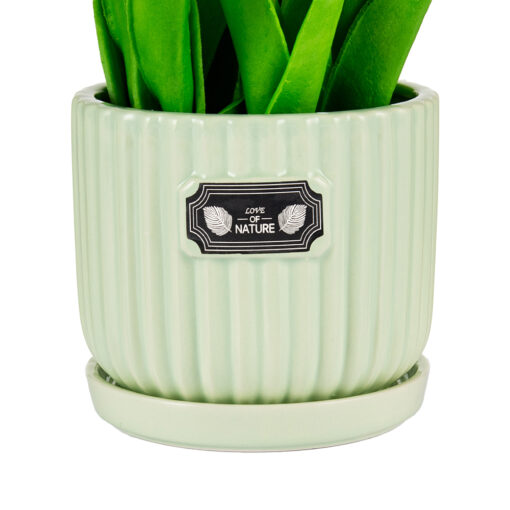 Potted Tulip (H24cm) - Image 3