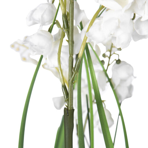Lily of The Valley Plant (H90cm) - Image 4
