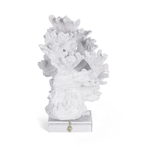Coral Bookend (Set of 2) - Image 5