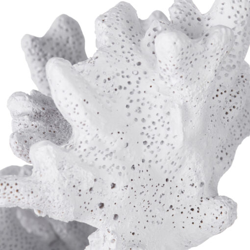 Coral Bookend (Set of 2) - Image 9