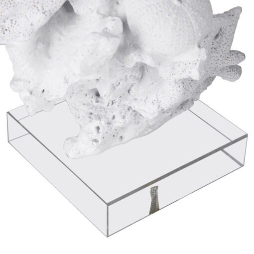 Coral Bookend (Set of 2) - Image 10