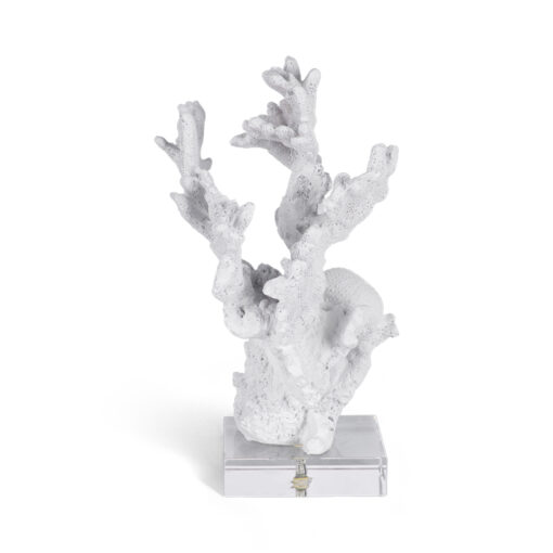 Coral Bookend (Set of 2) - Image 7