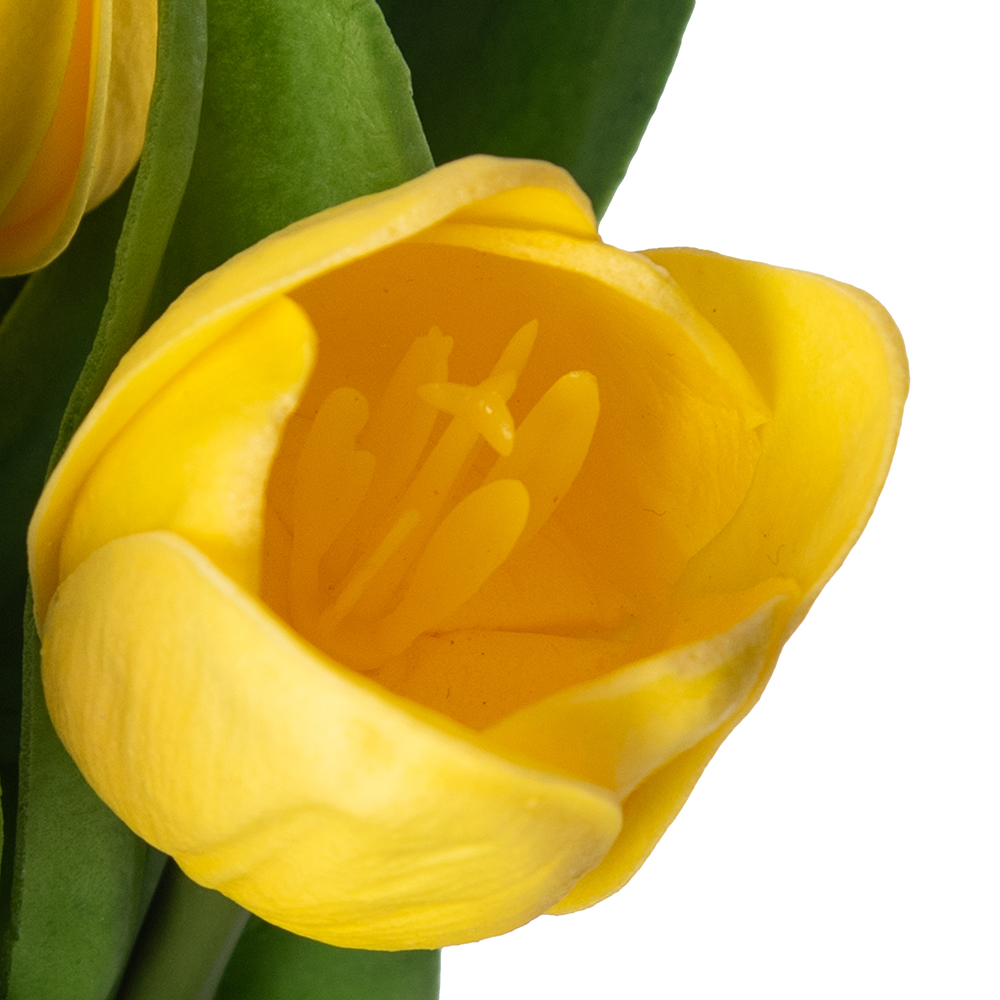 Potted Tulip (H22cm) - Image 8