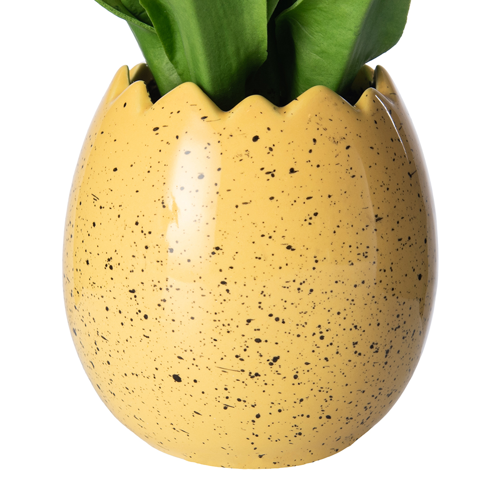 Potted Tulip (H22cm) - Image 12