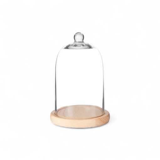 Dome Decor Glassware (H19cm)