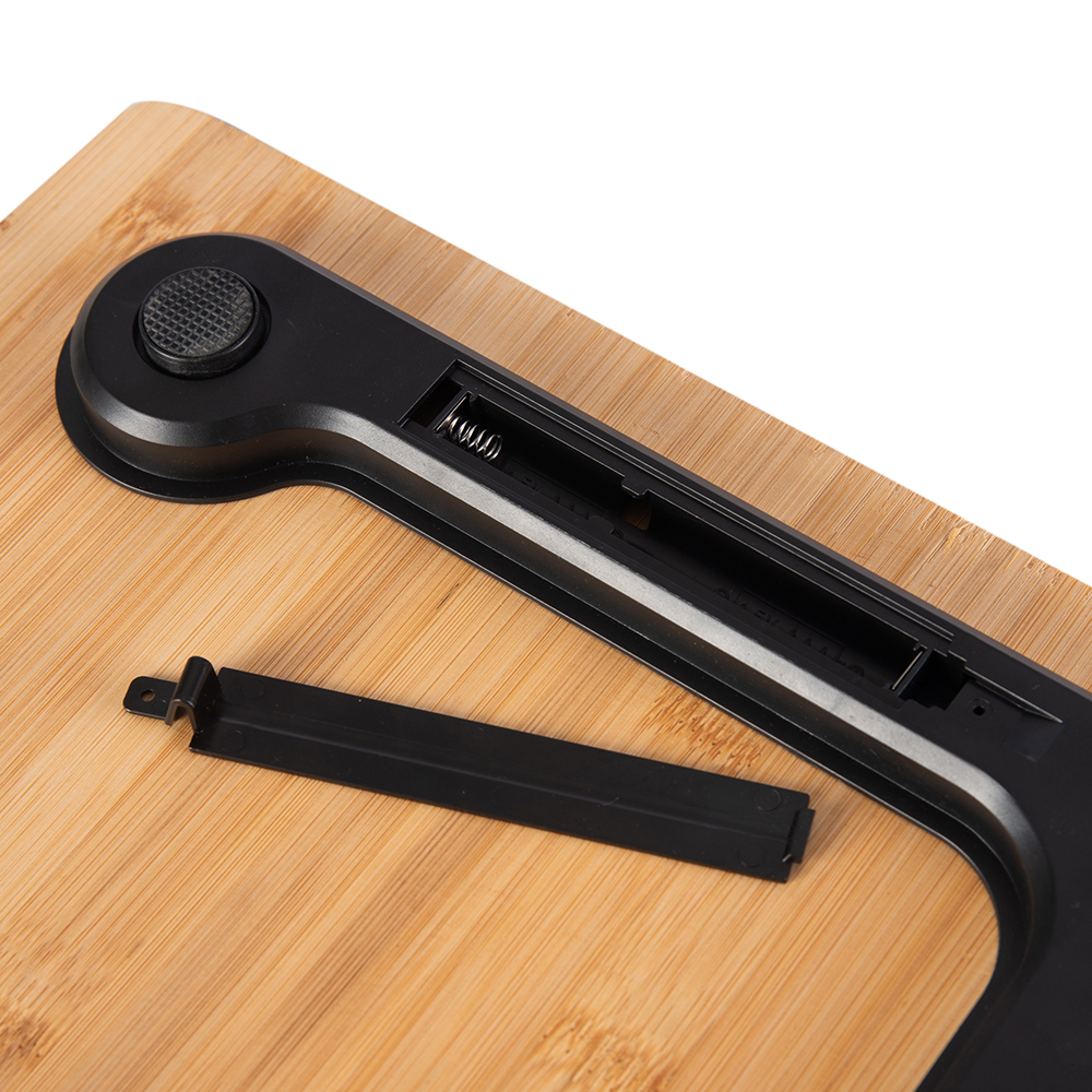 Body Scale - Image 11