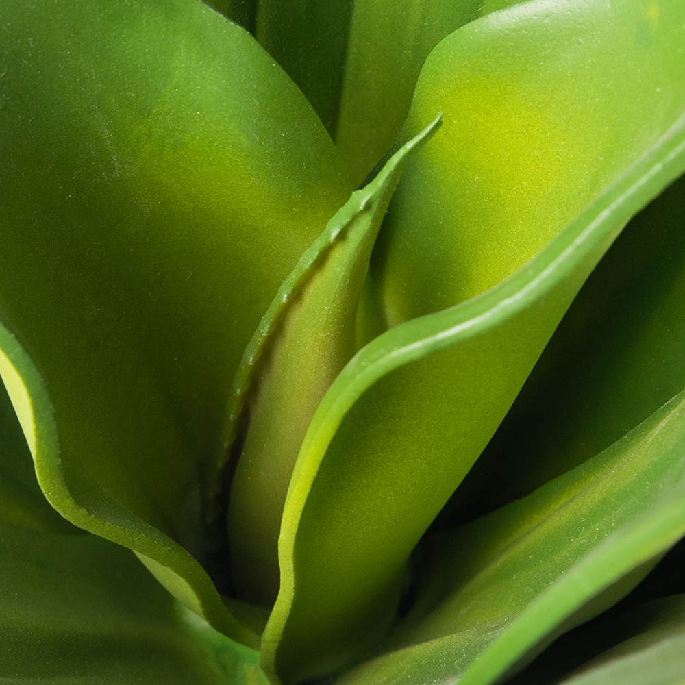 Potted Aloe Vera (H24.5cm) - Image 3
