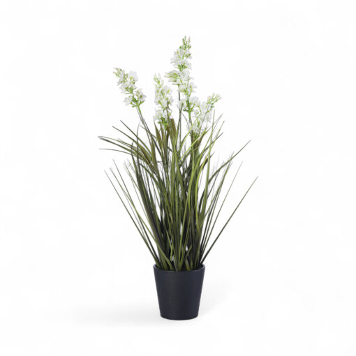 Potted Lavender (H46cm)