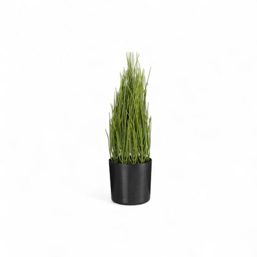 Potted Greenery (H33cm)
