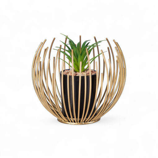 Desktop Potted Plant (H12.5cm)