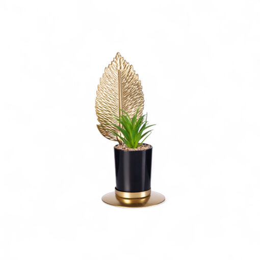 Desktop Potted Plant (H20cm)