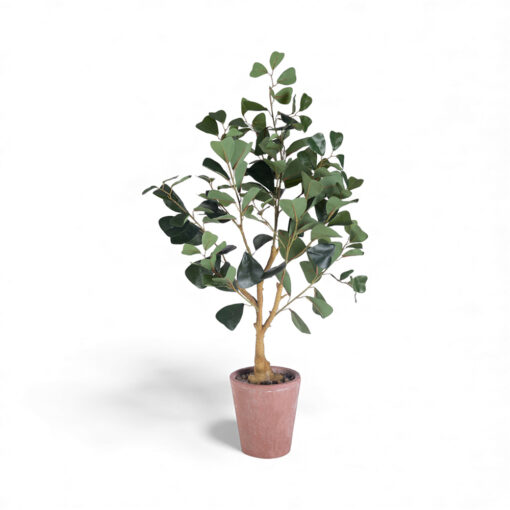 Potted Real Touched Heart Shaped Ficus (H80cm)