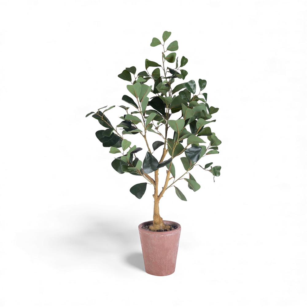 Potted Real Touched Heart Shaped Ficus (H80cm)